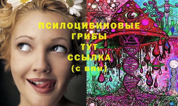 экстази Заволжск