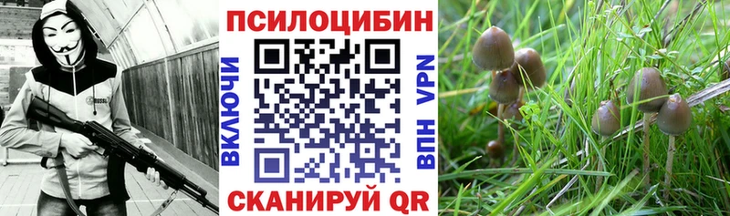 Галлюциногенные грибы мицелий  Купить где  Гусев 